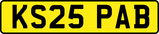 KS25PAB