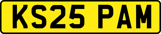KS25PAM