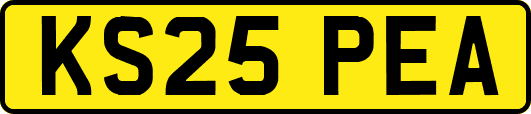 KS25PEA