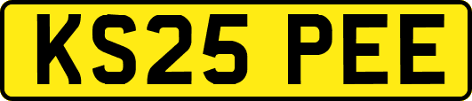 KS25PEE
