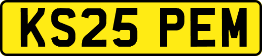 KS25PEM