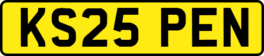 KS25PEN