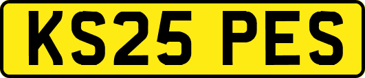 KS25PES