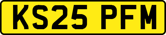 KS25PFM