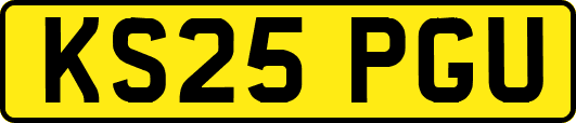 KS25PGU