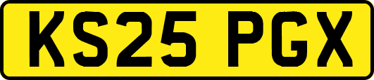KS25PGX
