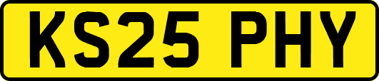 KS25PHY