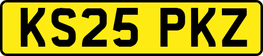 KS25PKZ