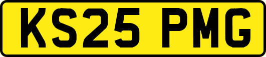 KS25PMG