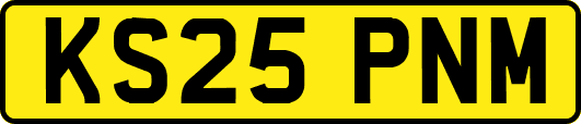 KS25PNM