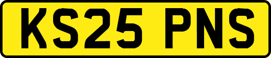 KS25PNS