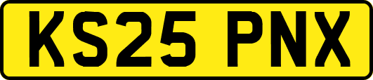 KS25PNX