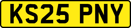 KS25PNY