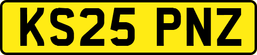 KS25PNZ