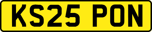 KS25PON