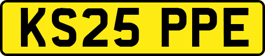 KS25PPE