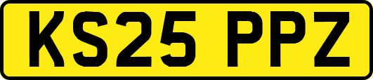 KS25PPZ