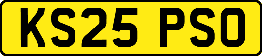 KS25PSO