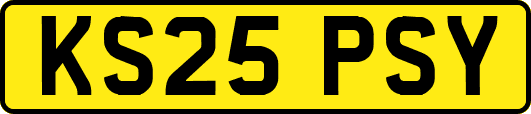 KS25PSY