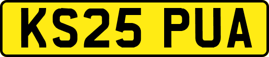 KS25PUA