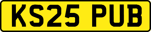 KS25PUB