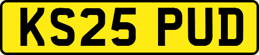 KS25PUD