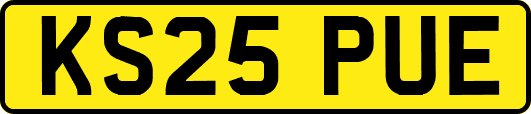 KS25PUE