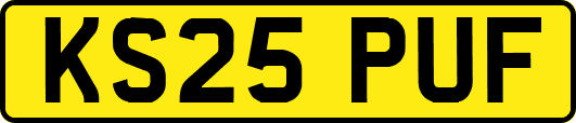 KS25PUF