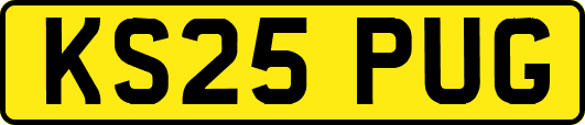 KS25PUG
