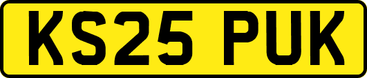 KS25PUK