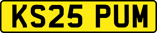 KS25PUM