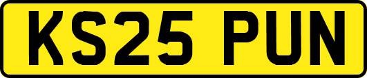 KS25PUN