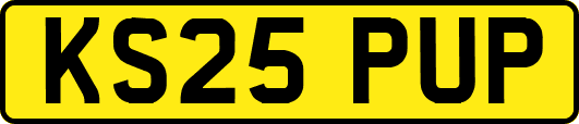 KS25PUP
