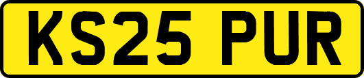 KS25PUR