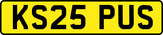 KS25PUS