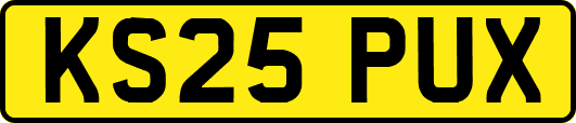 KS25PUX