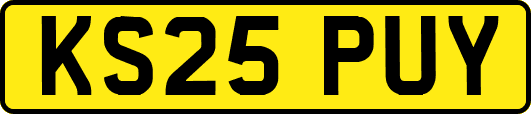 KS25PUY
