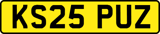 KS25PUZ