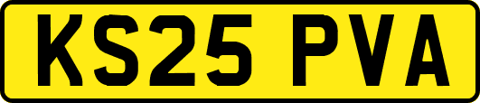 KS25PVA