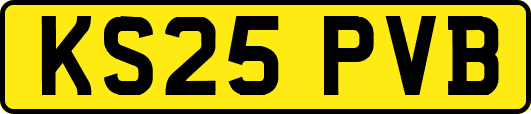 KS25PVB