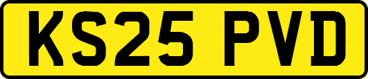 KS25PVD