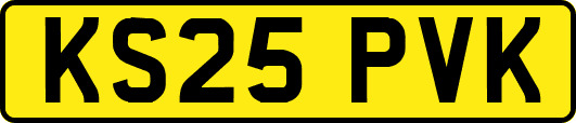 KS25PVK