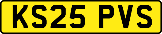 KS25PVS