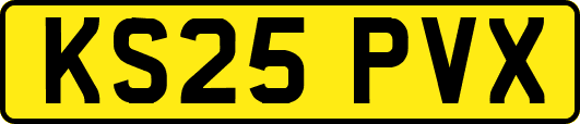 KS25PVX