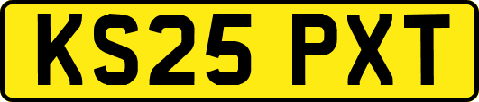 KS25PXT