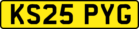 KS25PYG