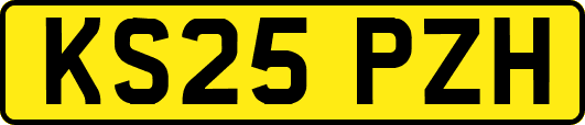 KS25PZH