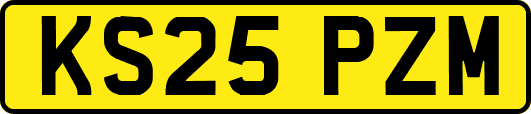 KS25PZM