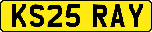 KS25RAY