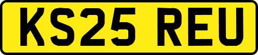KS25REU